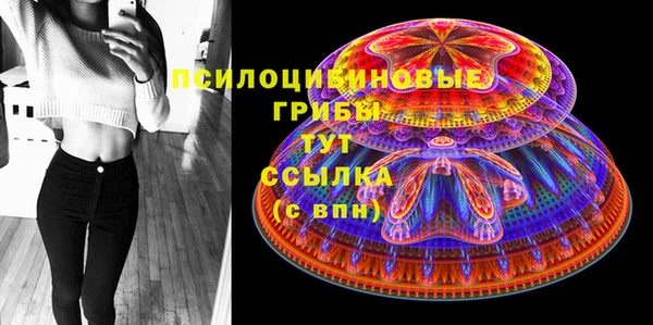 стафф Алзамай