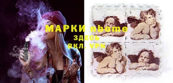стафф Алзамай